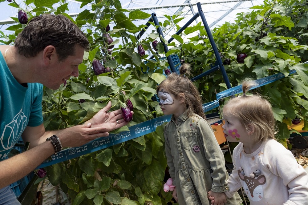 thumbnail_zo groeit een aubergine@rolfvankoppenfotografie (002)